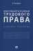 Ответственность по нормам трудового права. Учебное пособие
