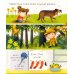 Дополнительное изображение книги «Lift-the-flap Very First Questions and Answers: What are Germs?»