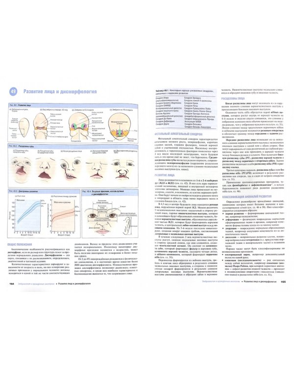 Наглядная медицинская генетика. Учебное пособие
