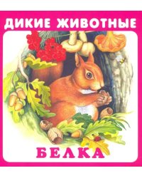 Набор карточек "Дикие животные"