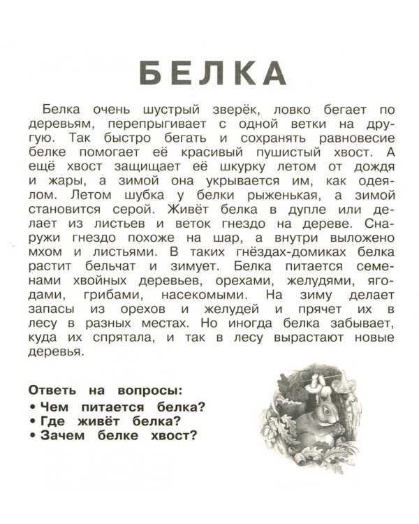 Набор карточек "Дикие животные"