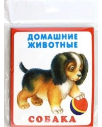 Набор карточек "Домашние животные"