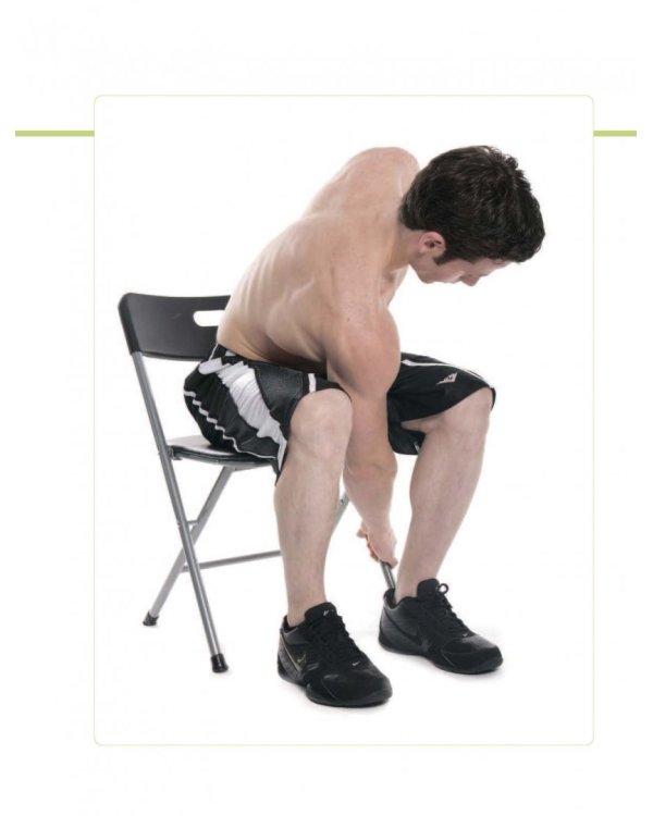 Анатомия упражнений для спины