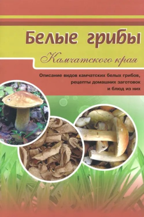 Дары природы Камчатки Белые грибы. Описание видов камчатских белых грибов, рецепты домашних заготовок и блюд из них