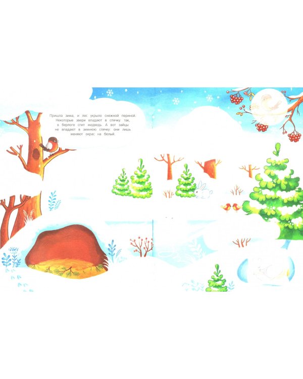 Как живет лес. Книжка с наклейками