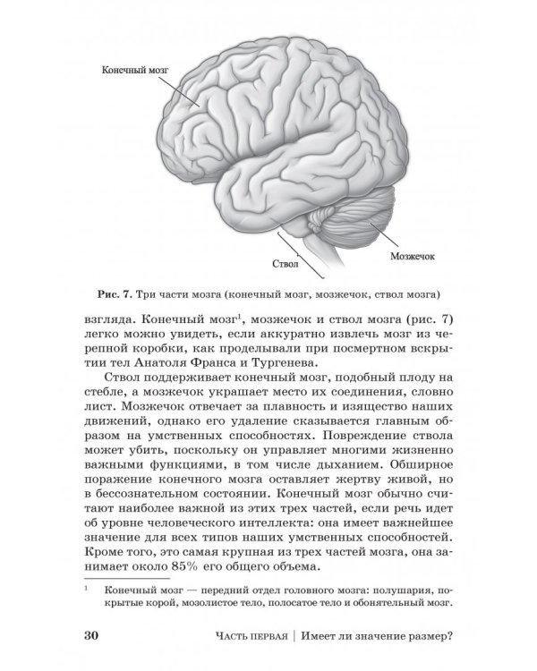 Дополнительное изображение книги «Коннектом. Как мозг делает нас тем, что мы есть»