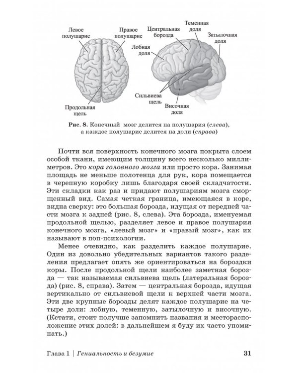 Дополнительное изображение книги «Коннектом. Как мозг делает нас тем, что мы есть»