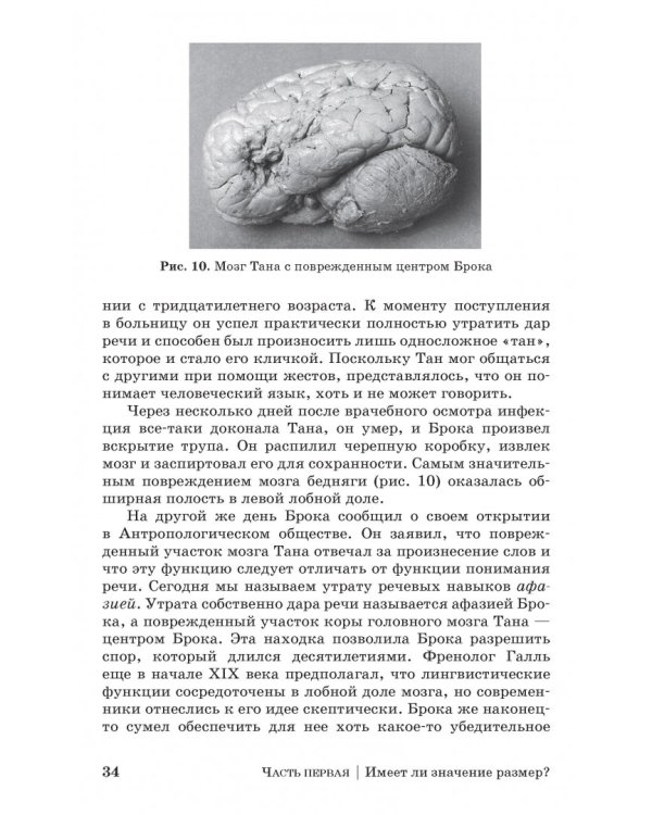 Дополнительное изображение книги «Коннектом. Как мозг делает нас тем, что мы есть»