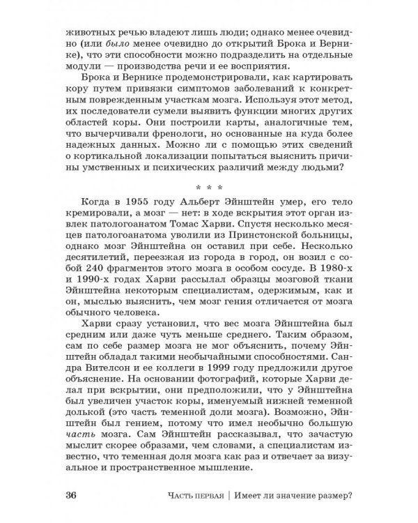 Дополнительное изображение книги «Коннектом. Как мозг делает нас тем, что мы есть»
