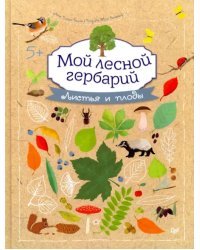 Мой лесной гербарий. Листья и плоды