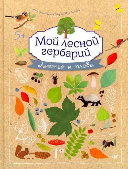 Мой лесной гербарий. Листья и плоды