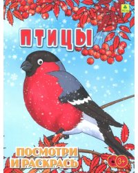 Птицы. Детская раскраска