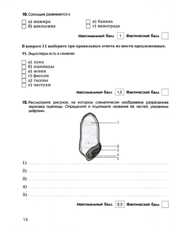Биология. 6 класс. Диагностические работы к учебнику В. В. Пасечника. ФГОС