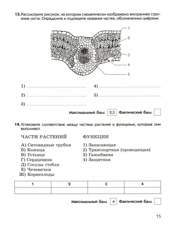 Биология. 6 класс. Диагностические работы к учебнику В. В. Пасечника. ФГОС