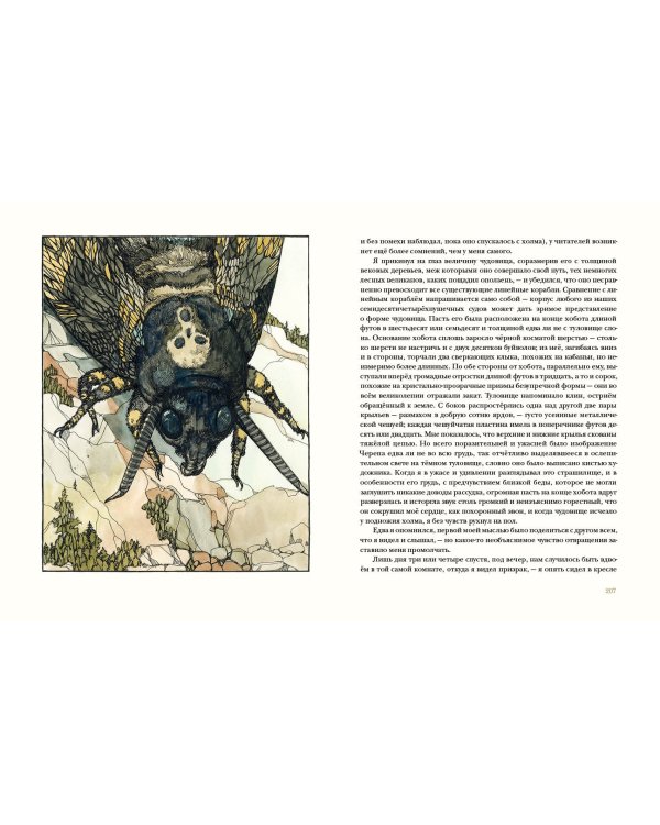 Золотой жук