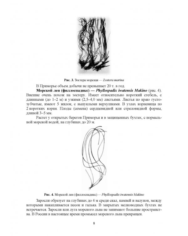 Дополнительное изображение книги «Водные биоресурсы. Характеристика и переработка. Учебное пособие»