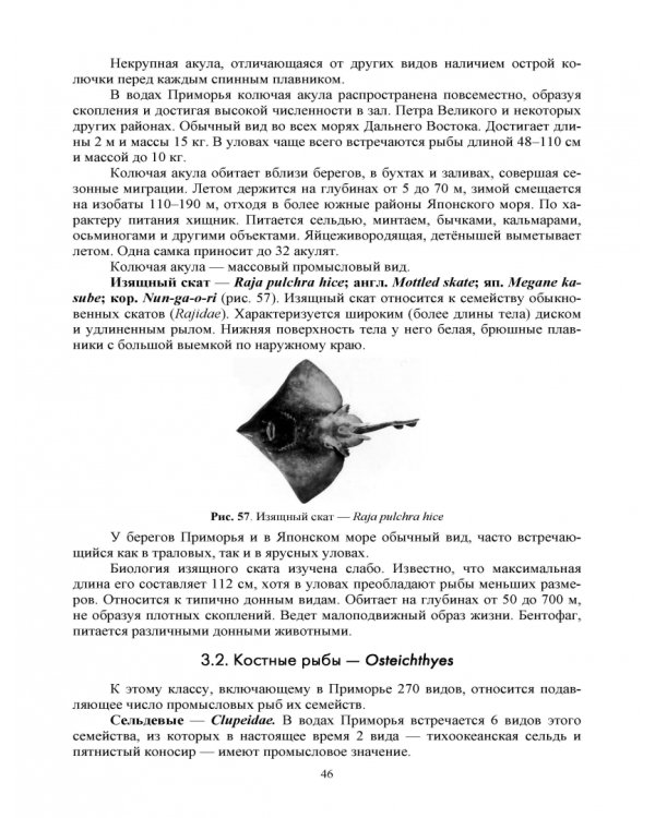 Дополнительное изображение книги «Водные биоресурсы. Характеристика и переработка. Учебное пособие»