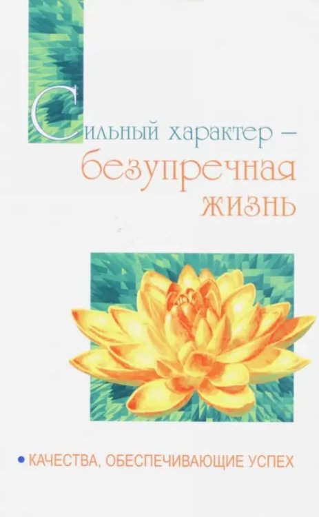 Сильный характер - безупречная жизнь. Качества, обеспечивающие успех