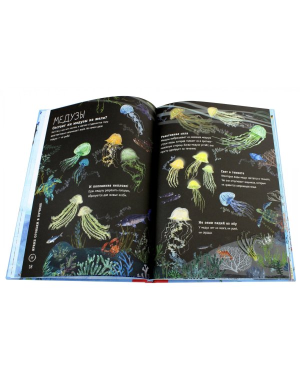 Большая книга моря