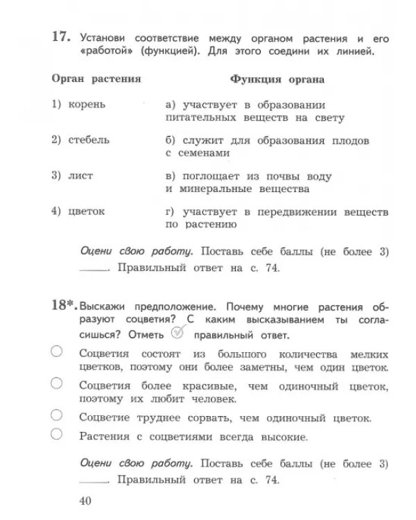 Окружающий мир. 3 класс. Тетрадь для проверочных работ. В 2-х частях. Часть 1