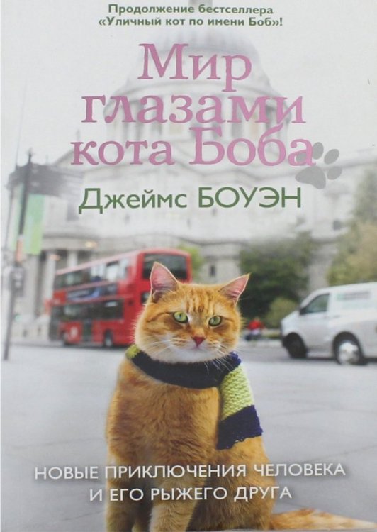 Мир глазами кота Боба. Новые приключения человека и его рыжего друга