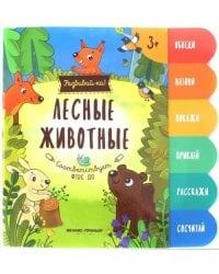 Лесные животные. Книжка-развивайка