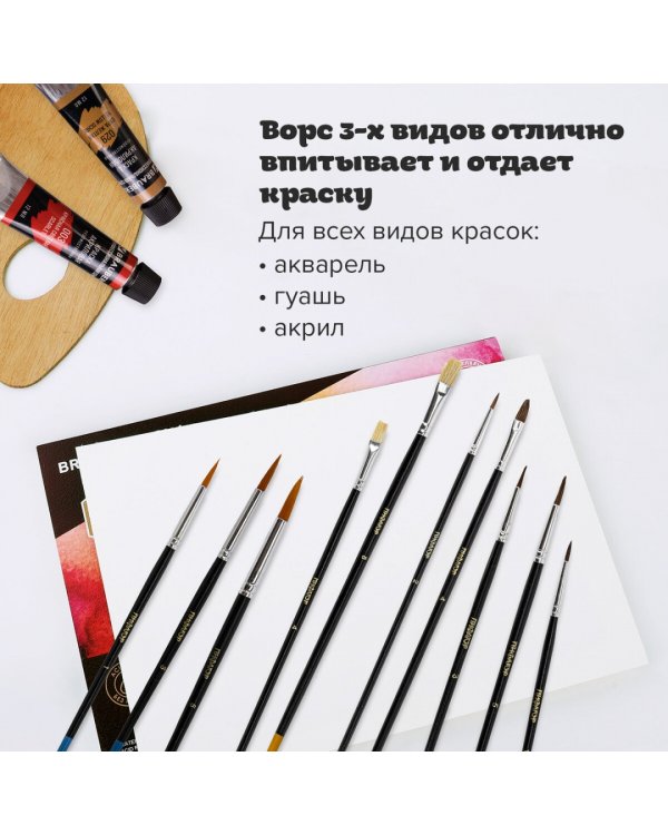 Кисти "Пифагор", 10 штук