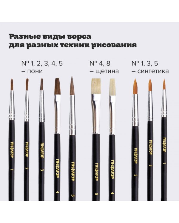 Кисти "Пифагор", 10 штук