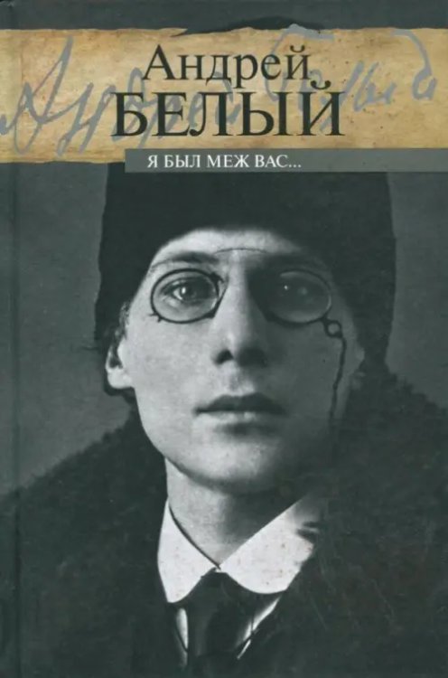 Литературные мемуары Я был меж вас…