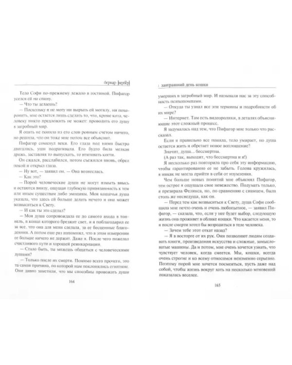 Завтрашний день кошки