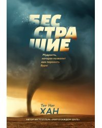 Бесстрашие. Мудрость, которая позволит вам пережить бурю