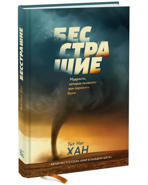 Бесстрашие. Мудрость, которая позволит вам пережить бурю