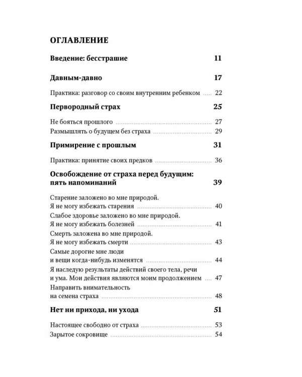 Бесстрашие. Мудрость, которая позволит вам пережить бурю