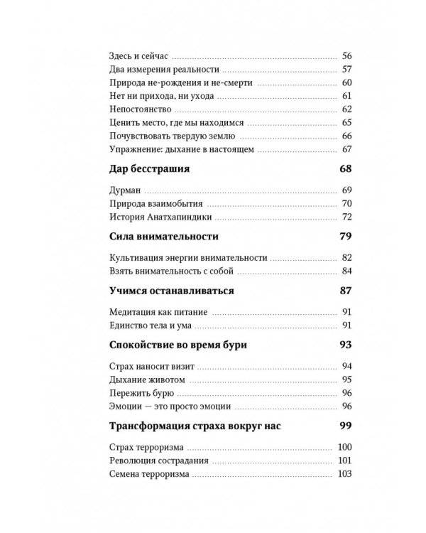 Бесстрашие. Мудрость, которая позволит вам пережить бурю