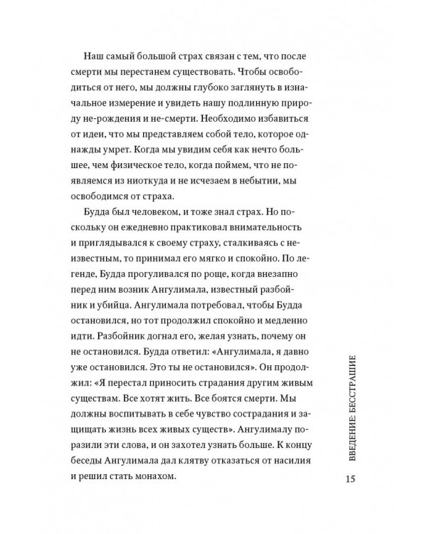 Бесстрашие. Мудрость, которая позволит вам пережить бурю