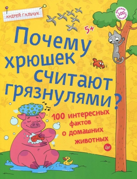 Почему хрюшек считают грязнулями? 100 интересных фактов о домашних животных