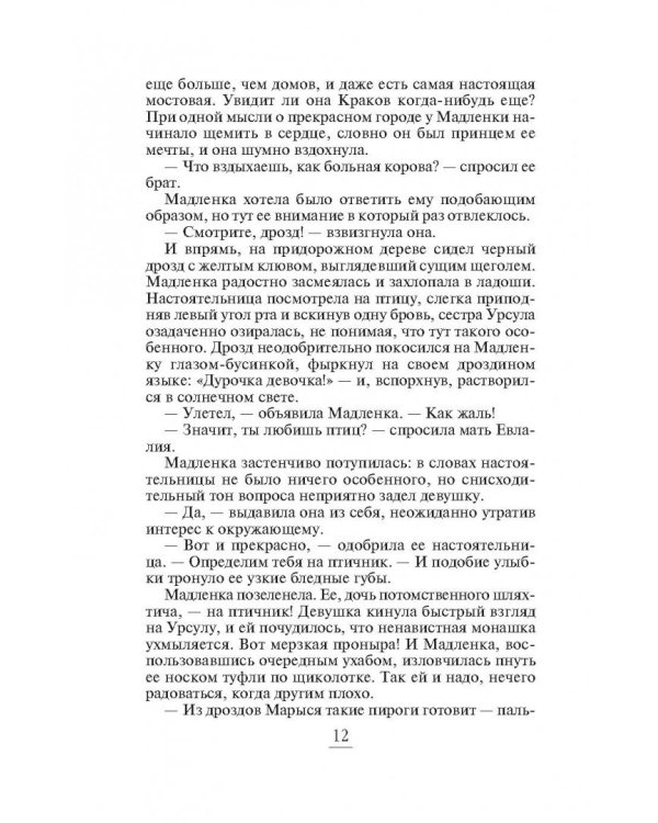 Рыцарь темного солнца