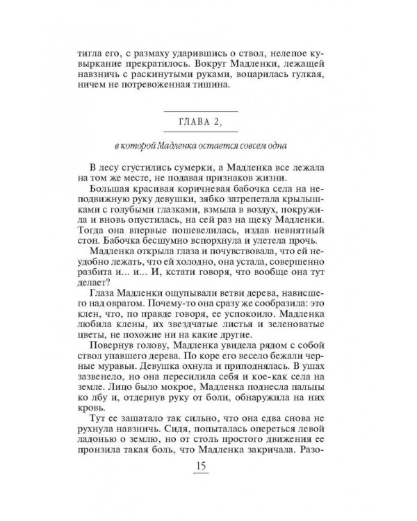 Рыцарь темного солнца