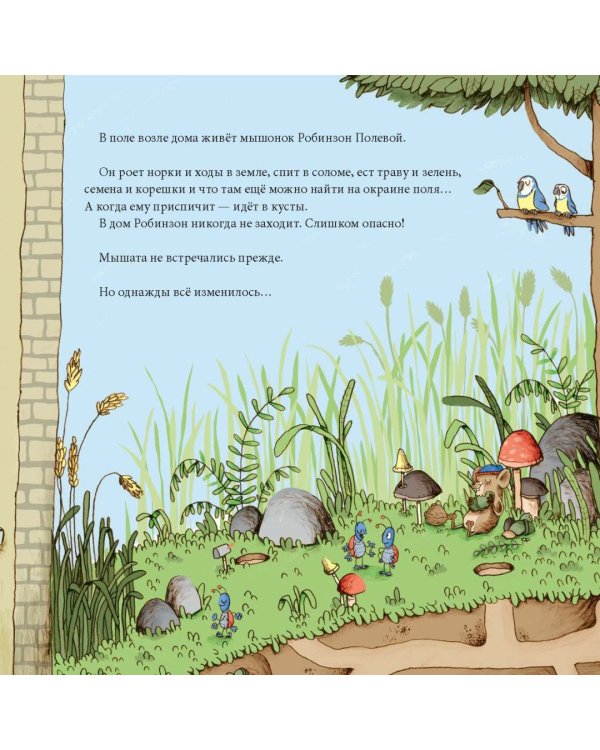 Моцарт и Робинзон. Волшебство сырной луны