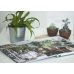 Дополнительное изображение книги «Urban Jungle. Как создать уютный интерьер с помощью растений»