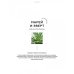 Дополнительное изображение книги «Urban Jungle. Как создать уютный интерьер с помощью растений»