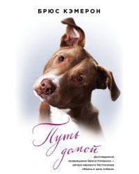 Путь домой