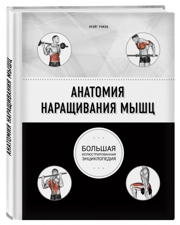 Анатомия наращивания мышц