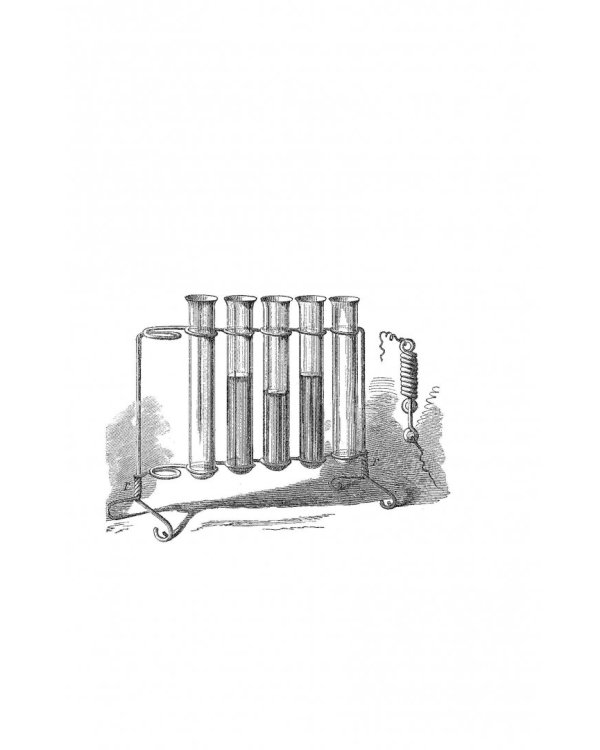 Вообще ЧУМА! история болезней от лихорадки до Паркинсона