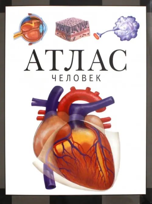 Атласы по биологии Человек. Атлас