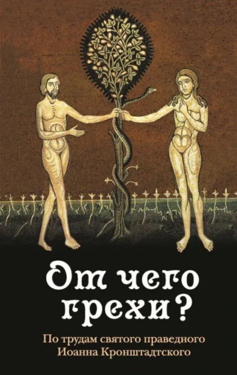 Духовная жизнь От чего грехи? Опыт борьбы со страстями