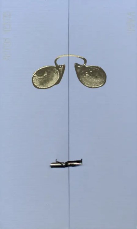 Чайка. Комедия в четырех действиях