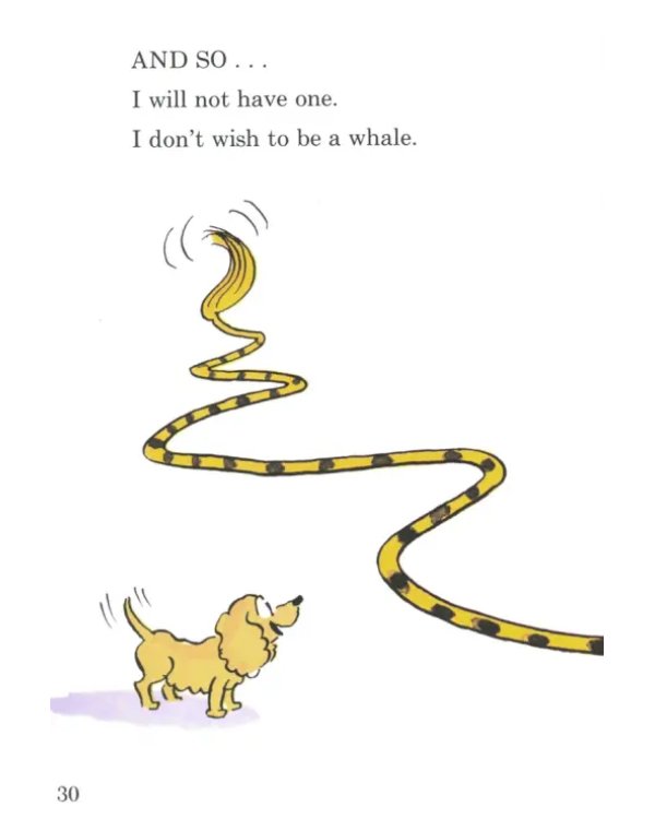 Дополнительное изображение книги «I Wish That I Had Duck Feet»