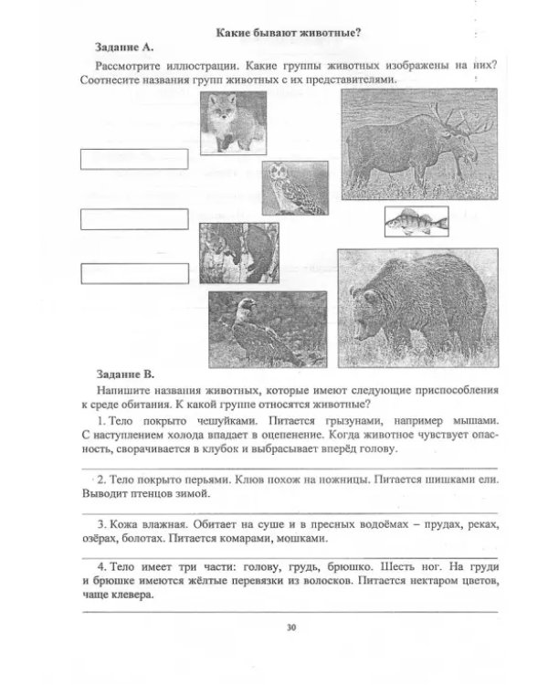 Окружающий мир. 1-4 классы. Разноуровневые задания к урокам. Подготовка к ВПР. ФГОС