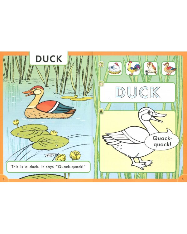 Что говорят птицы? Пособие для детей 3-5 лет